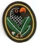 Insignia
